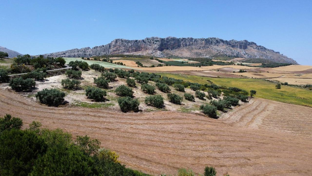 La Posada Del Torcal Villanueva de la Concepción Kültér fotó